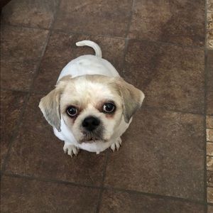 Meet your Posher, Maria